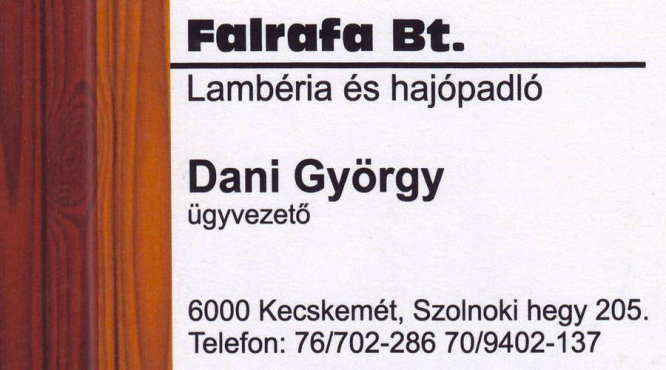 Dani György