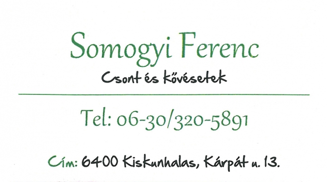 Somogyi Ferenc