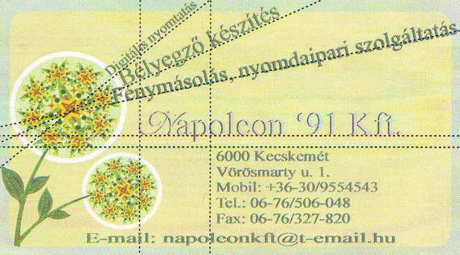 Napoleon91 Kft. Nyomdaipari Szolgáltatás Kecskemét