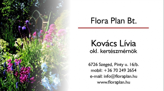 Kovács Lívia