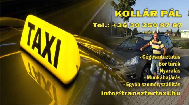 Paul Kollar Taxi Transfer
